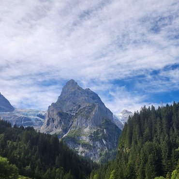 Das Tossen- und das Wellhorn mit dem Rosenlouigletscher